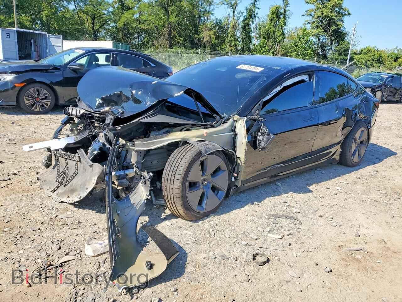 Photo 5YJ3E1EA2PF512313 - TESLA MODEL 3 2023