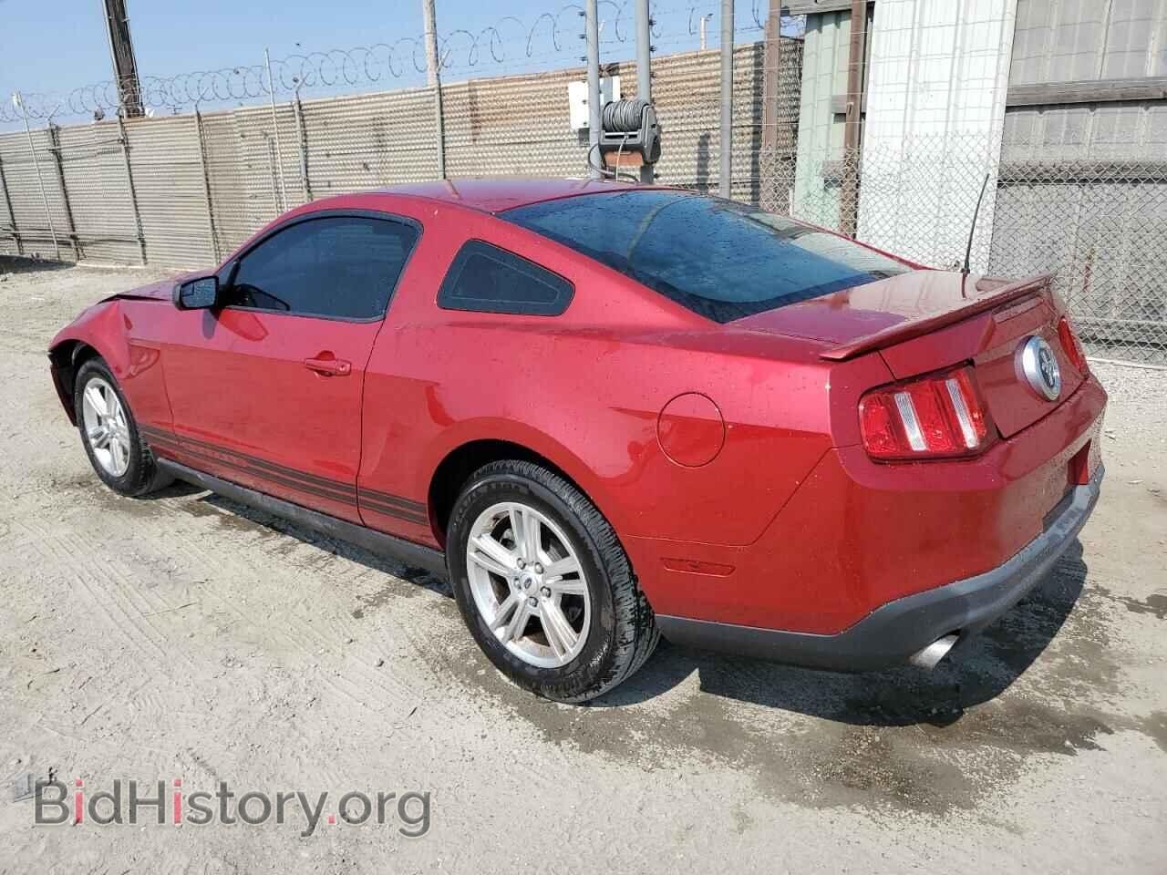 2011 FORD ALL Models - VIN: 1ZVBP8AM0B5152397 - Фото 2