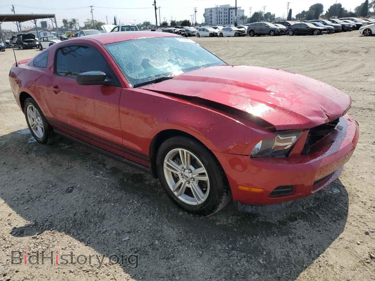 2011 FORD ALL Models - VIN: 1ZVBP8AM0B5152397 - Фото 4