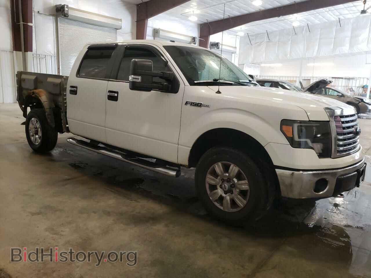 2010 FORD F-150 - VIN: 1FTFW1EV4AFA60770 - Фото 4