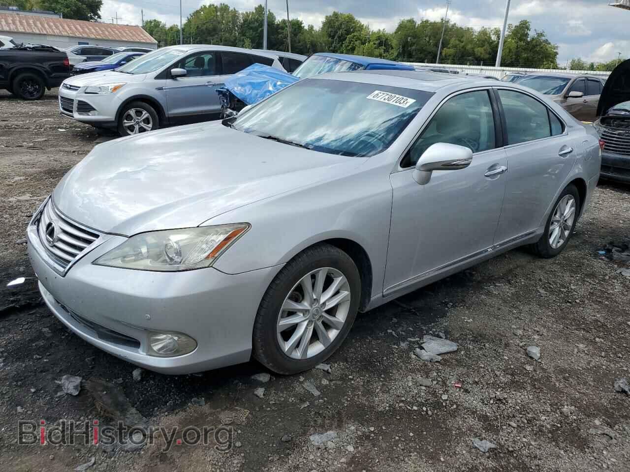 Фотография JTHBK1EG2A2369400 - LEXUS ES350 2010