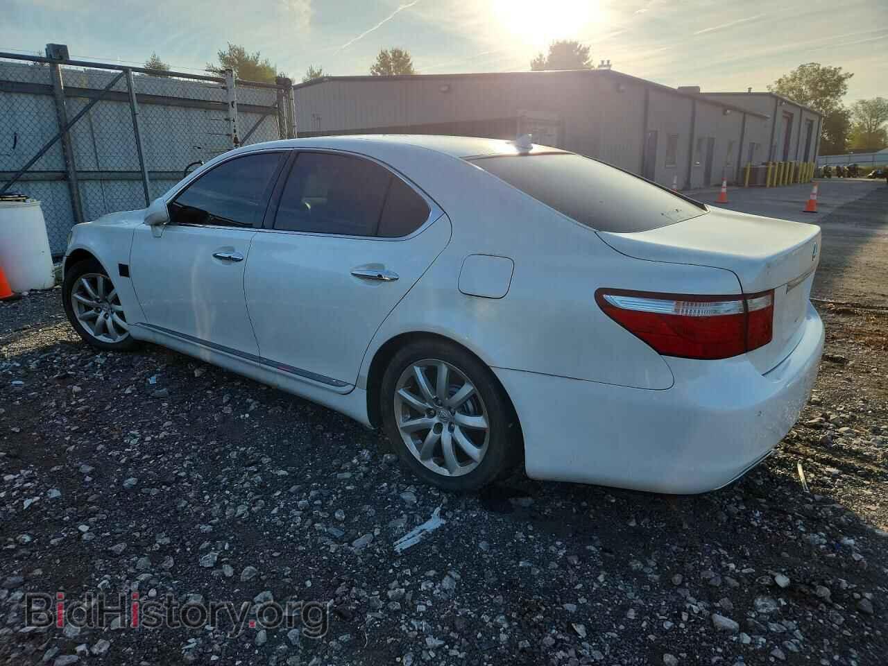2009 LEXUS LS460 - VIN: JTHBL46F095085519 - Photo 2