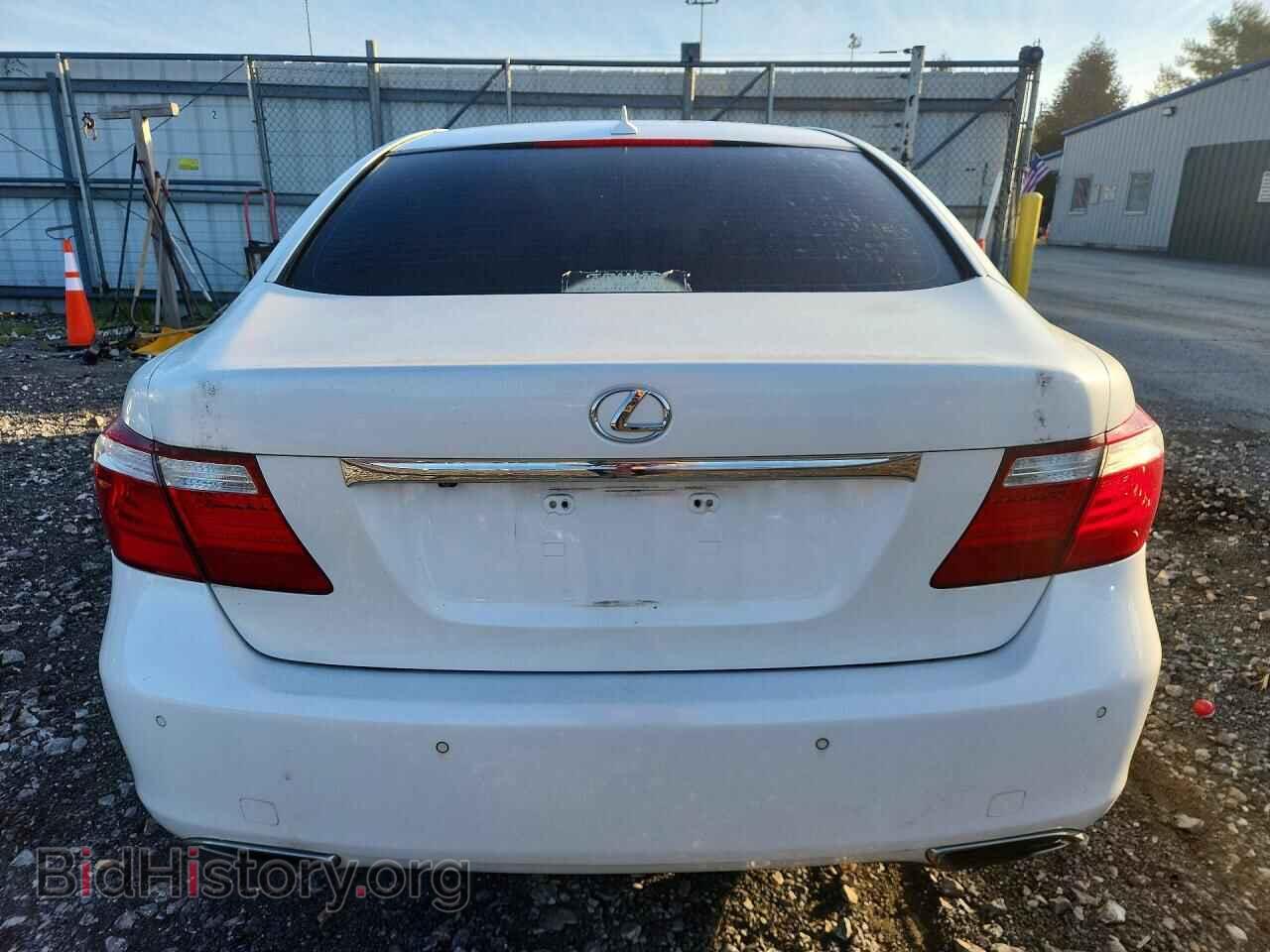 2009 LEXUS LS460 - VIN: JTHBL46F095085519 - Photo 6