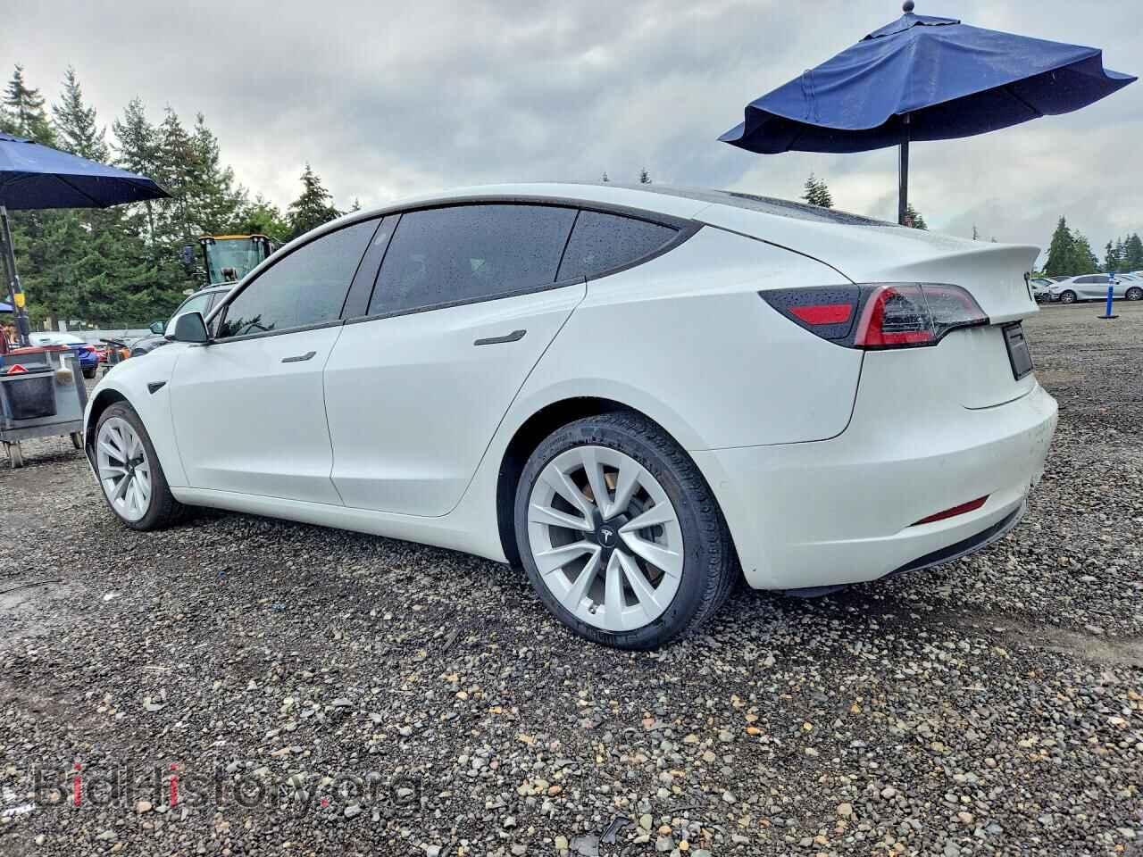 2021 TESLA MODEL 3 - VIN: 5YJ3E1EA2MF100971 - Photo 2