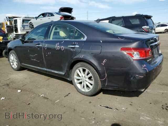 2010 LEXUS ES350 - VIN: JTHBK1EG5A2375322 - Фото 2