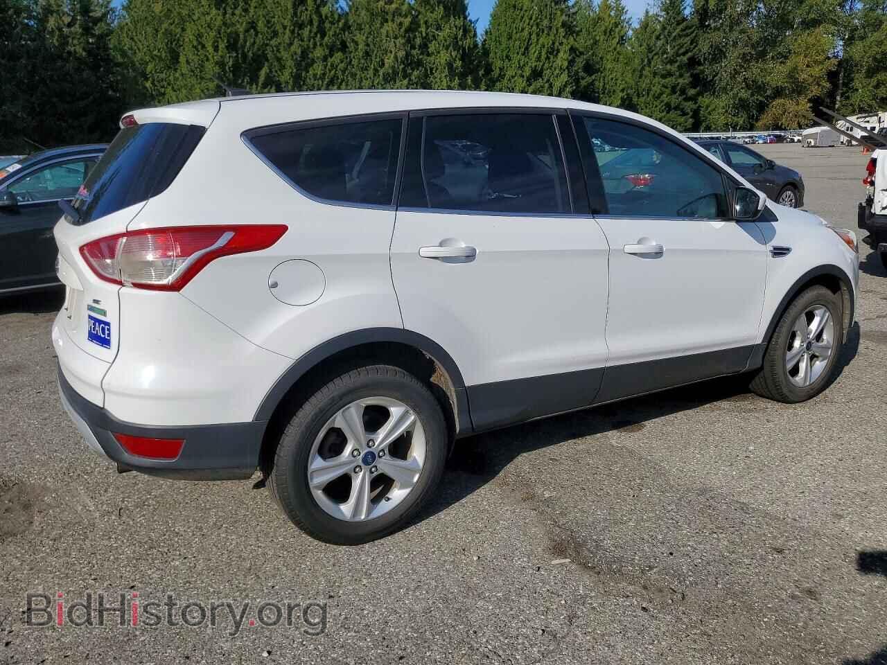 2013 FORD ESCAPE - VIN: 1FMCU0GX2DUC47051 - Фото 3