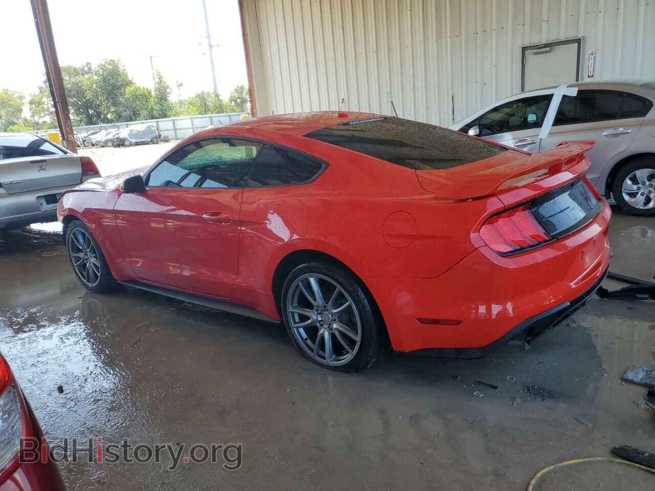 2019 FORD ALL Models - VIN: 1FA6P8TH3K5133675 - Фото 2