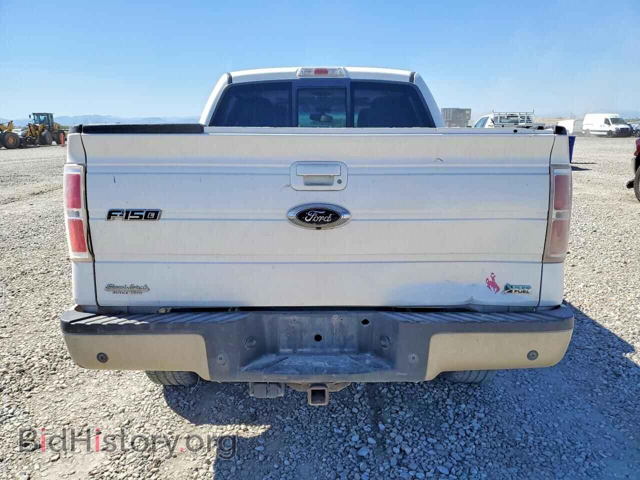 2010 FORD F150 - VIN: 1FTFW1EV2AFA52182 - Photo 6