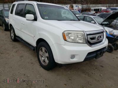 2009 Honda PILOT Pilot EXL, белый — VIN 5FNYF486X9B050565, Copart