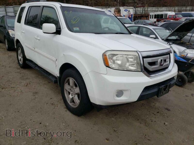 2009 Honda PILOT Pilot EXL (VIN 5FNYF486X9B050565) — фото 1 из 10, Copart, повреждение: бок