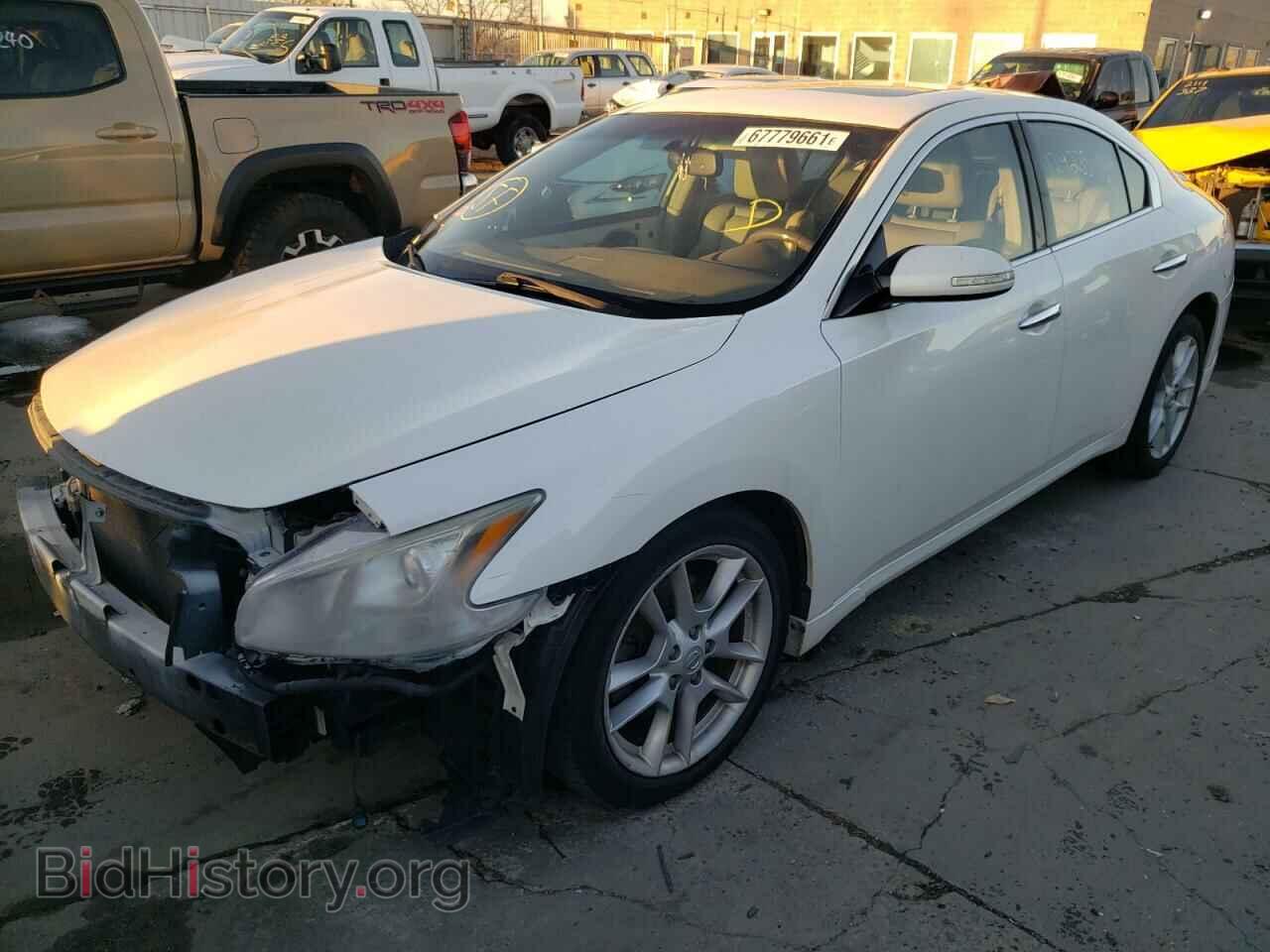2009 NISSAN MAXIMA - VIN: 1N4AA51E99C800905 - Фото 2