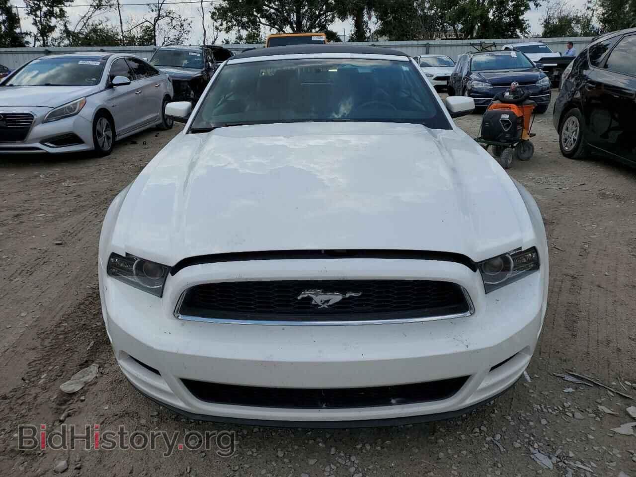 2013 FORD ALL Models - VIN: 1ZVBP8EM2D5250179 - Photo 5