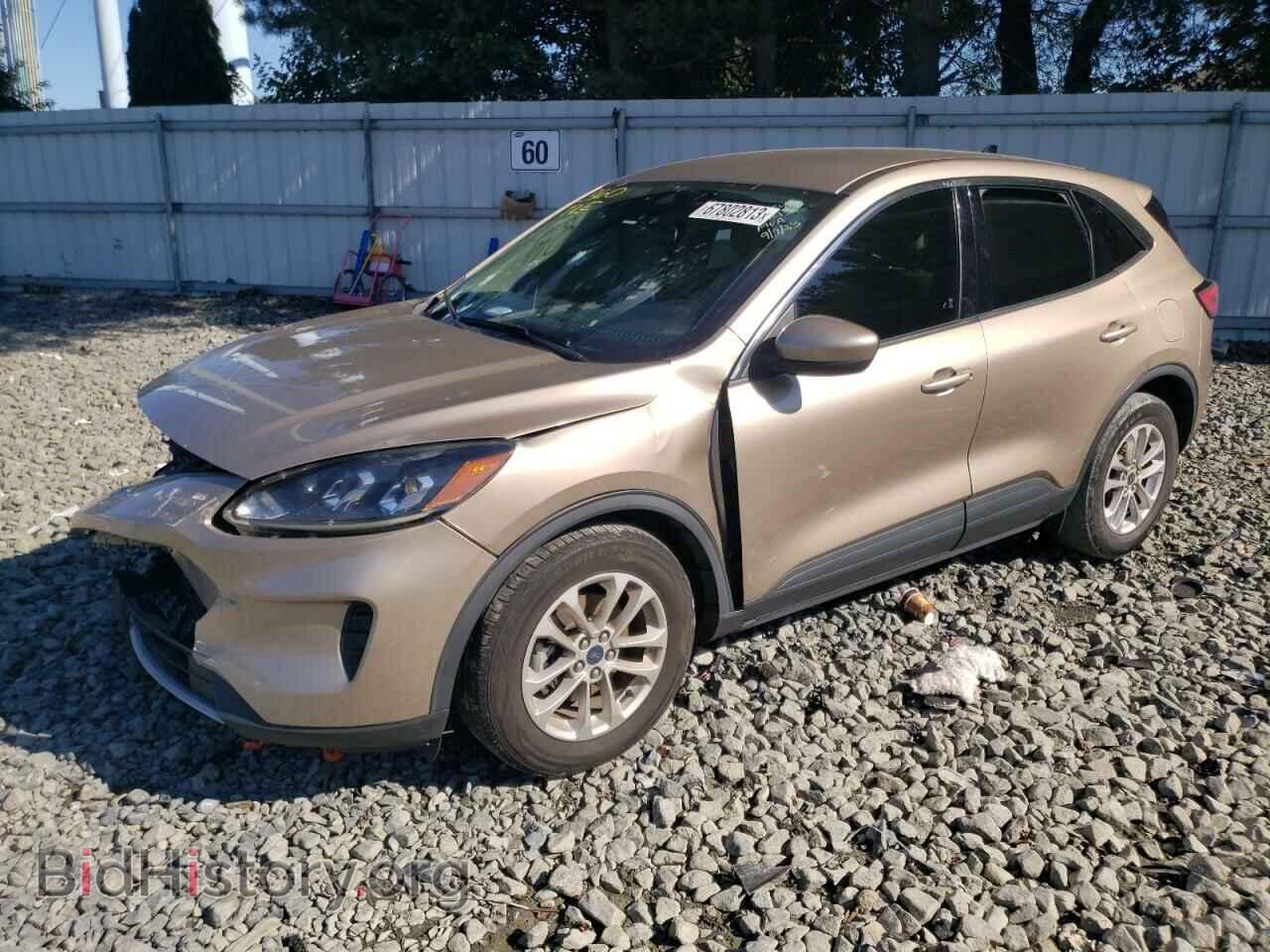 Photo 1FMCU0G68LUA70205 - FORD ESCAPE 2020
