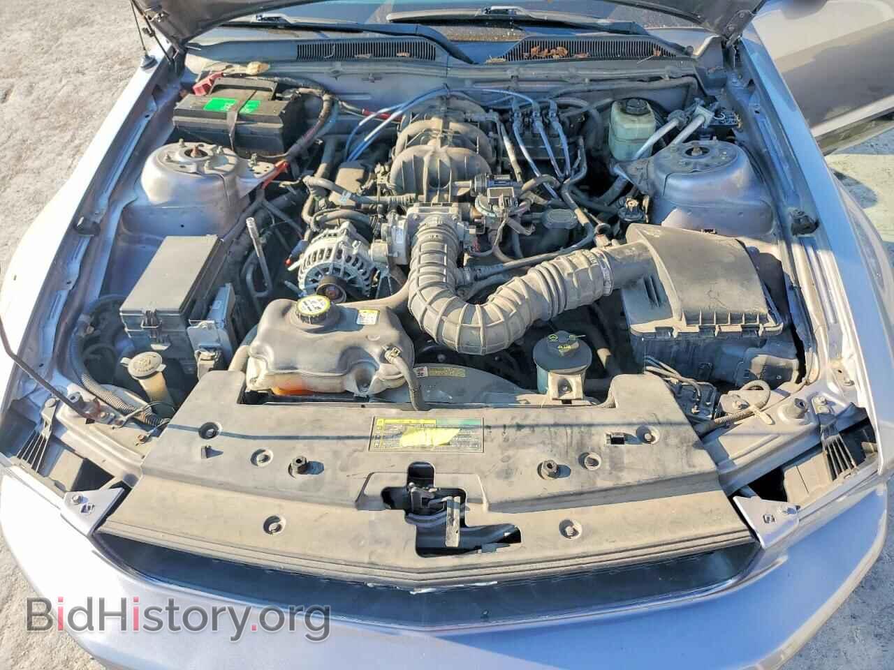 2006 FORD MUSTANG - VIN: 1ZVFT84N565226131 - Фото 11