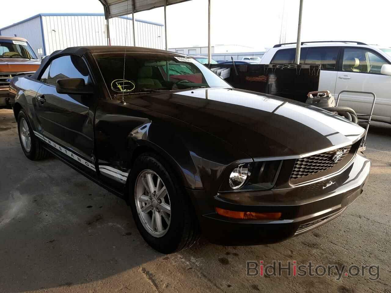 Photo 1ZVHT84N185200850 - FORD MUSTANG 2008