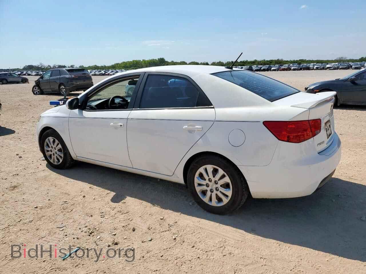 2013 KIA FORTE - VIN: KNAFT4A24D5715927 - Фото 2