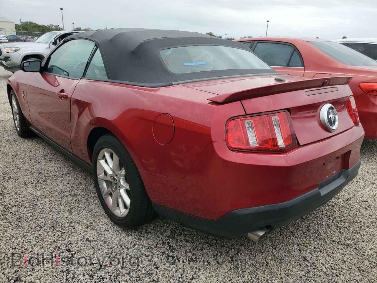 2011 FORD MUSTANG - VIN: 1ZVBP8EM8B5165070 - Фото 2