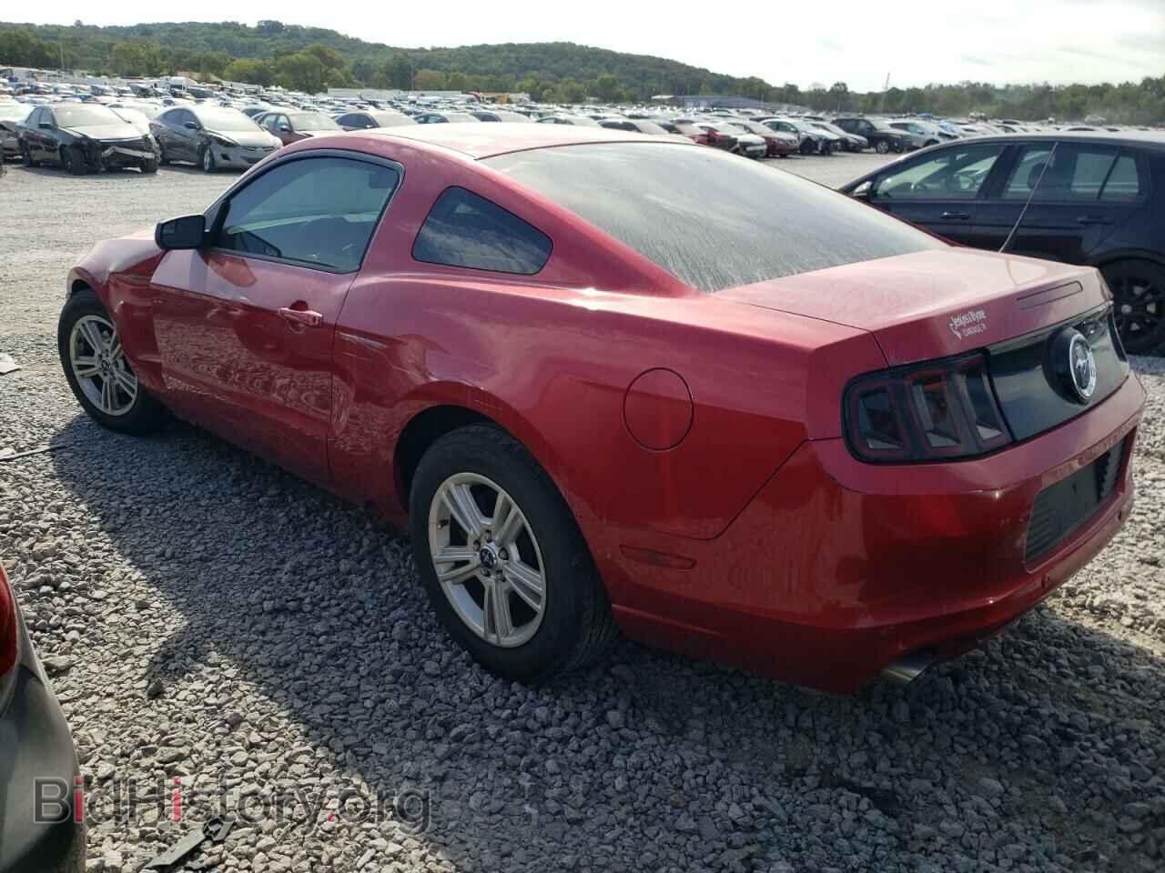 2013 FORD ALL Models - VIN: 1ZVBP8AM3D5268406 - Фото 2