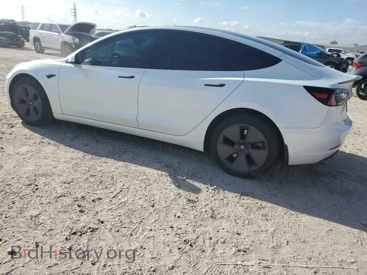 2023 TESLA MODEL 3 - VIN: 5YJ3E1EA5PF406888 - Photo 2