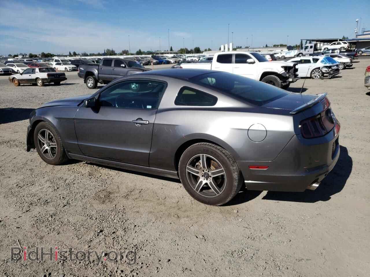 2014 FORD ALL Models - VIN: 1ZVBP8AM7E5241355 - Фото 2