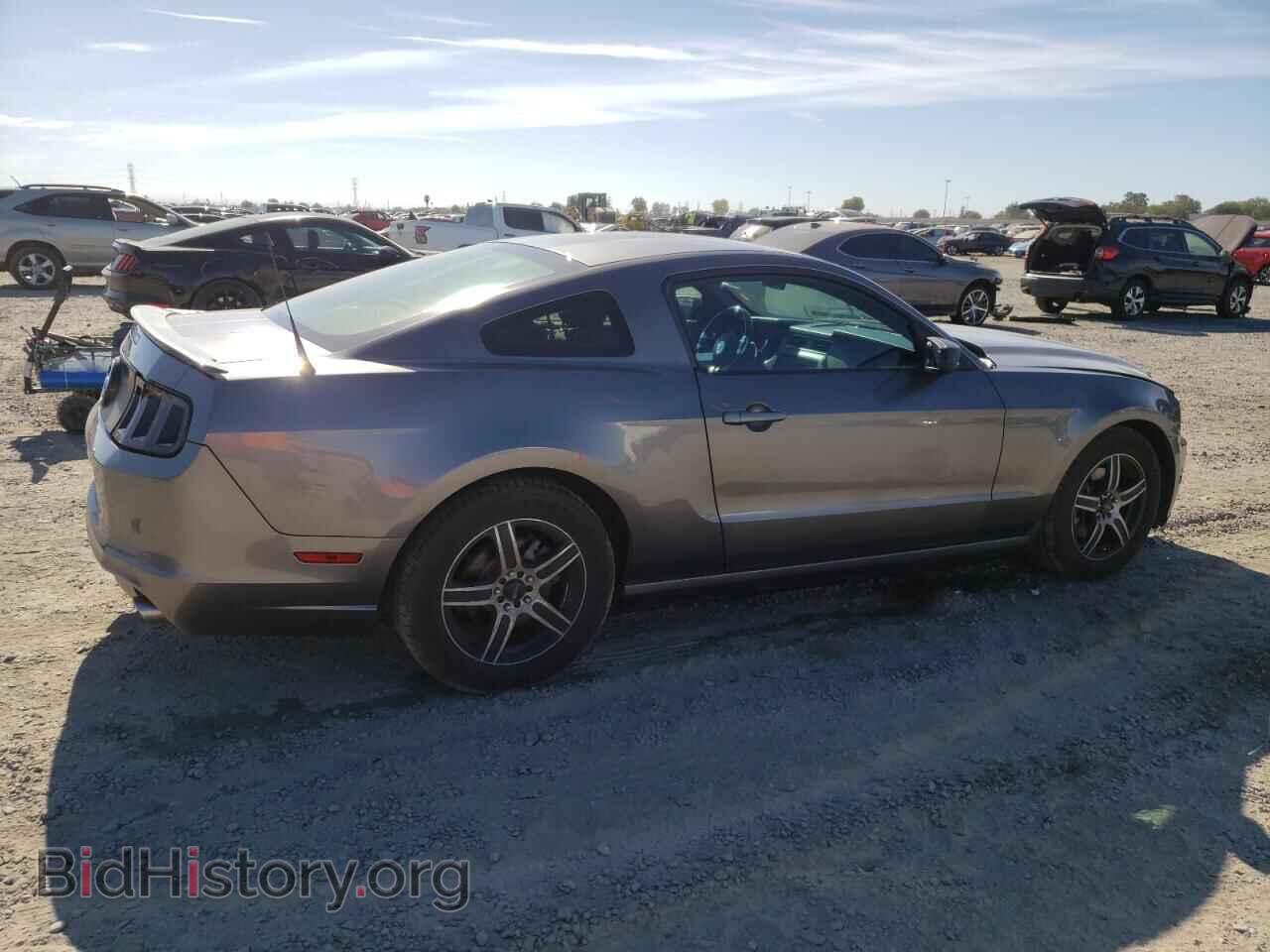 2014 FORD ALL Models - VIN: 1ZVBP8AM7E5241355 - Фото 3