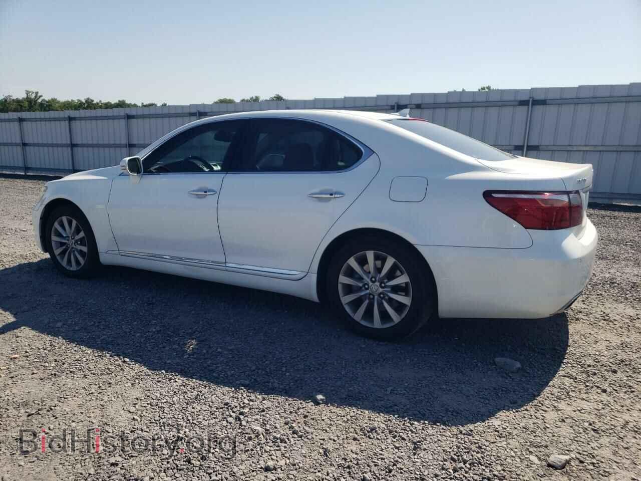 2010 LEXUS LS460 - VIN: JTHCL5EF2A5007453 - Photo 2