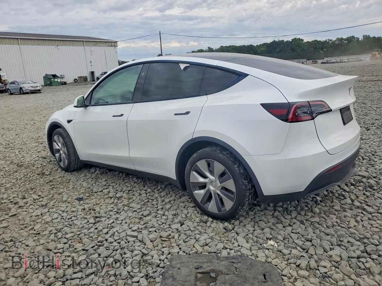 2024 Tesla MODEL Y (VIN 7SAYGDEE7RA233348) — photo 2 of 12
