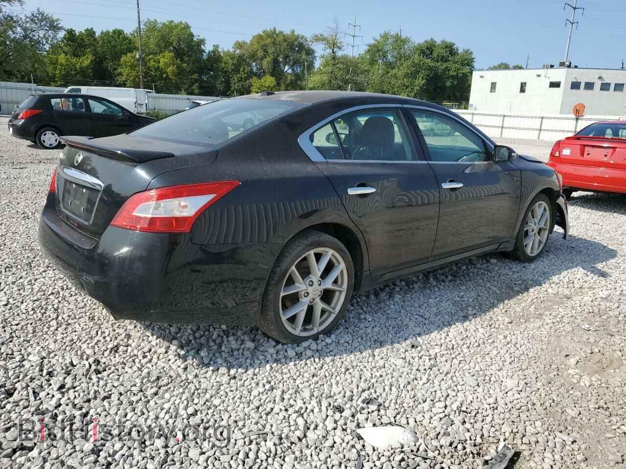 2009 NISSAN MAXIMA - VIN: 1N4AA51E09C816149 - Фото 3