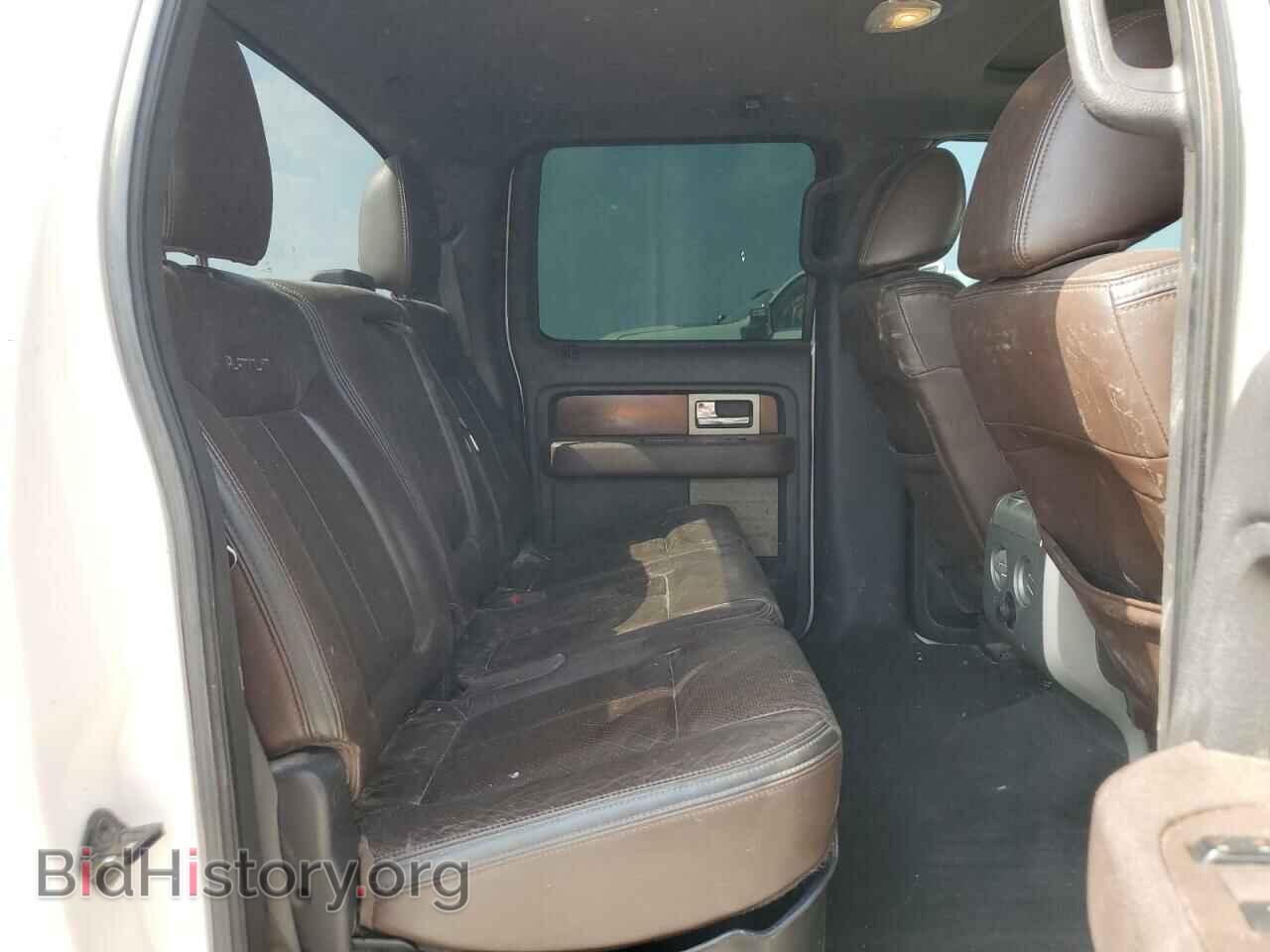 2010 FORD F-150 - VIN: 1FTFW1EV1AFD54787 - Фото 10