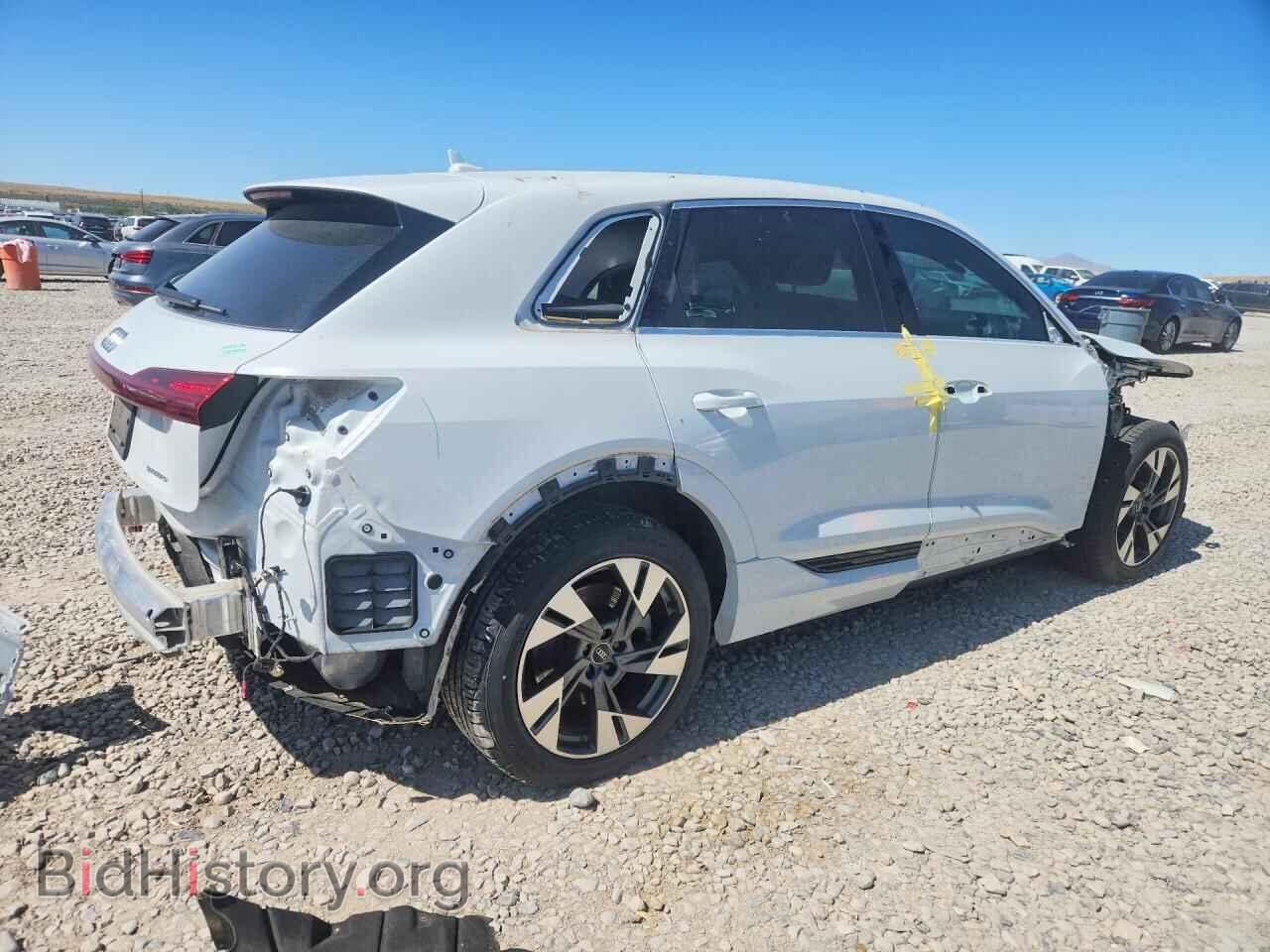 2021 AUDI E-TRON - VIN: WA1LABGE4MB011014 - Photo 3