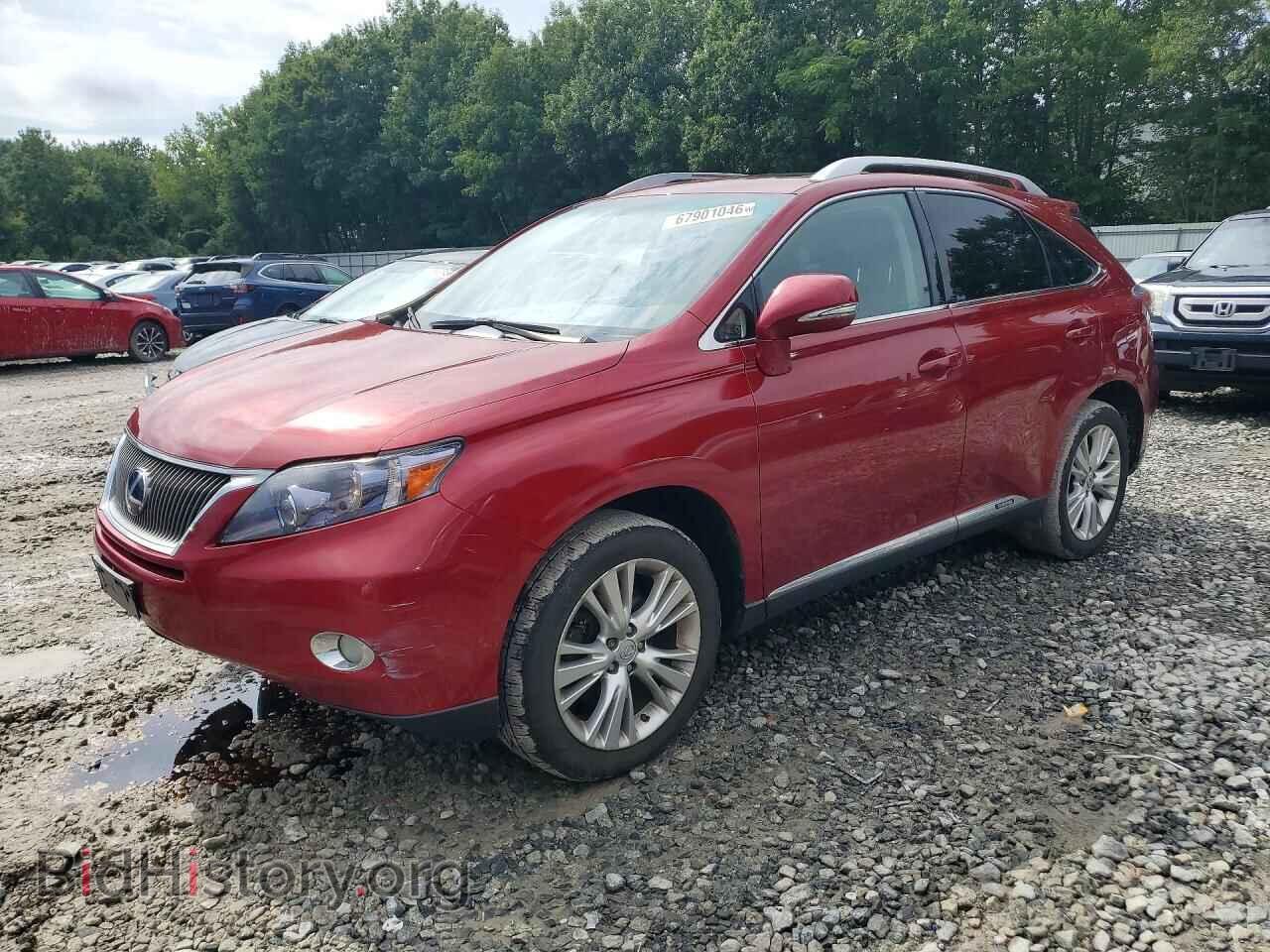 Photo JTJBC1BA0A2017606 - LEXUS RX450 2010