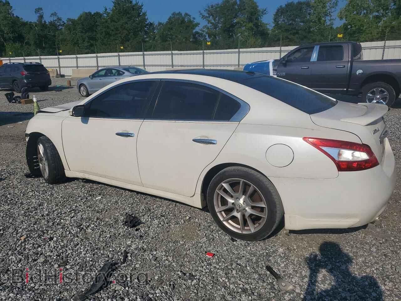 2009 NISSAN MAXIMA - VIN: 1N4AA51E09C820735 - Фото 2