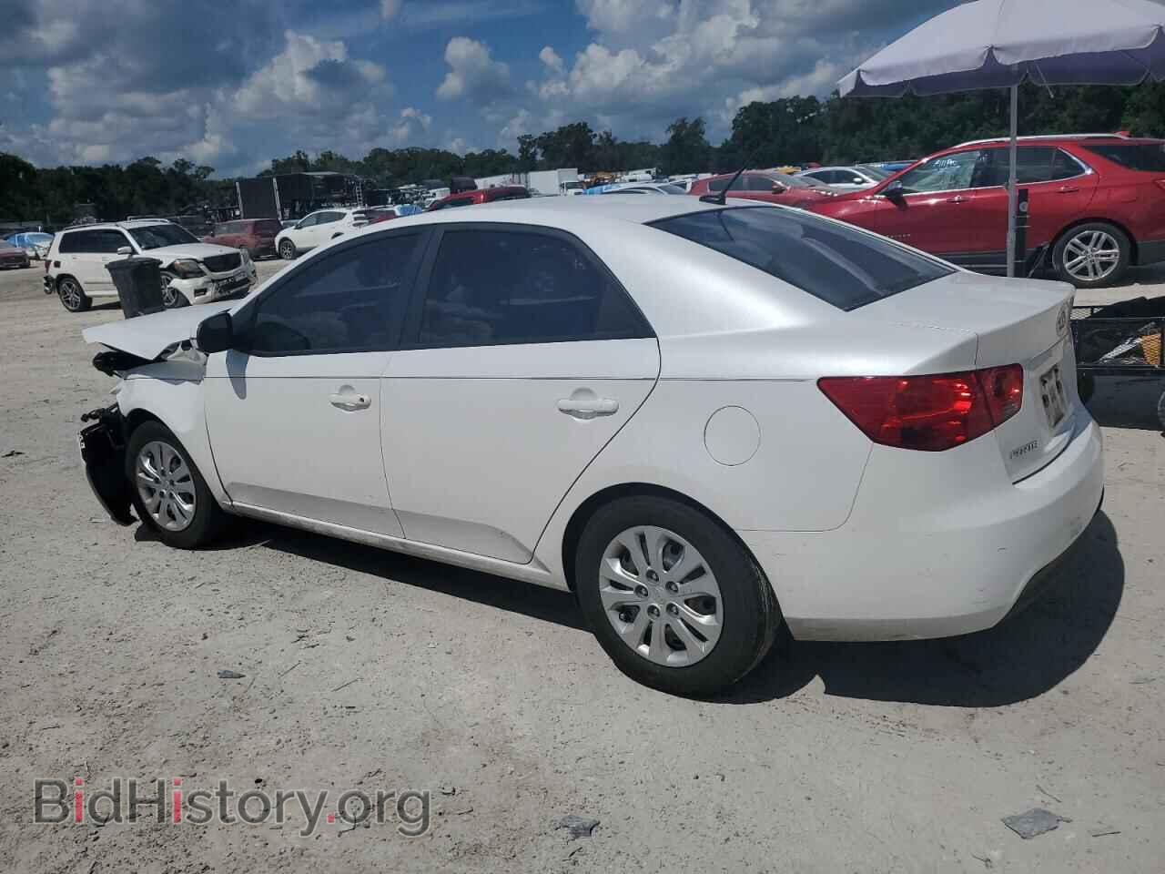 2012 KIA FORTE - VIN: KNAFU4A21C5491463 - Фото 2