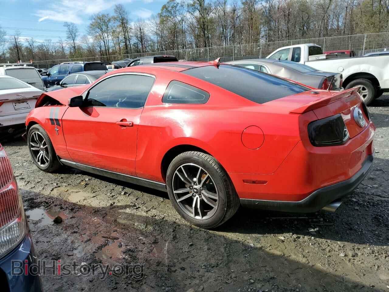 2011 FORD MUSTANG - VIN: 1ZVBP8AM1B5124530 - Фото 2
