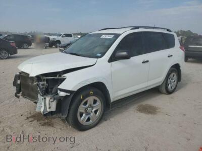 2012 Toyota RAV4, белый — VIN 2T3ZF4DV8CW151591, Copart