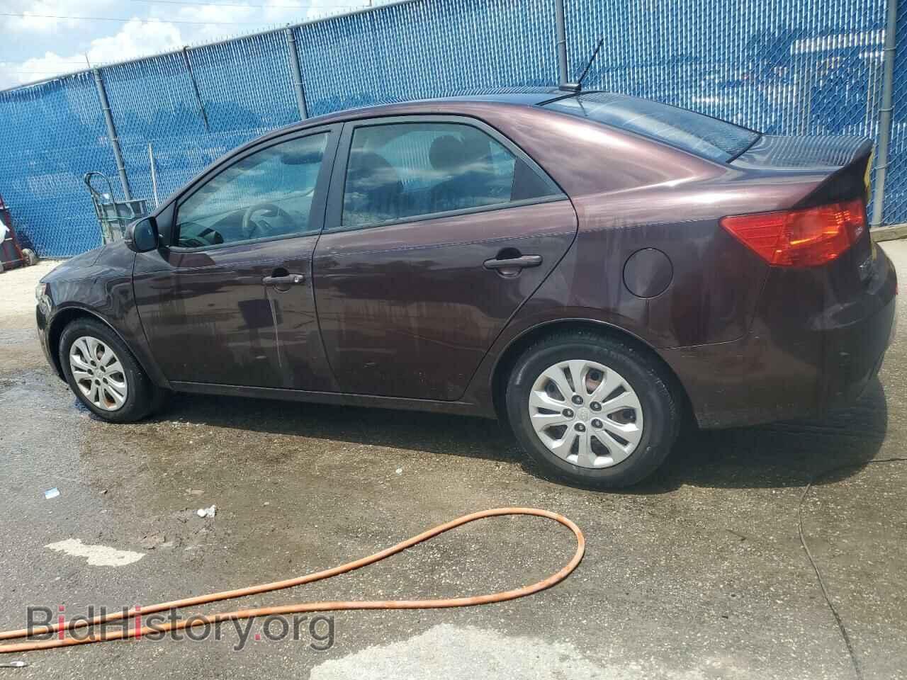 2011 KIA FORTE - VIN: KNAFU4A28B5352297 - Фото 2