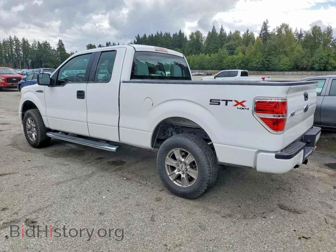 2013 FORD F150 - VIN: 1FTFX1EF7DFB26075 - Фото 2