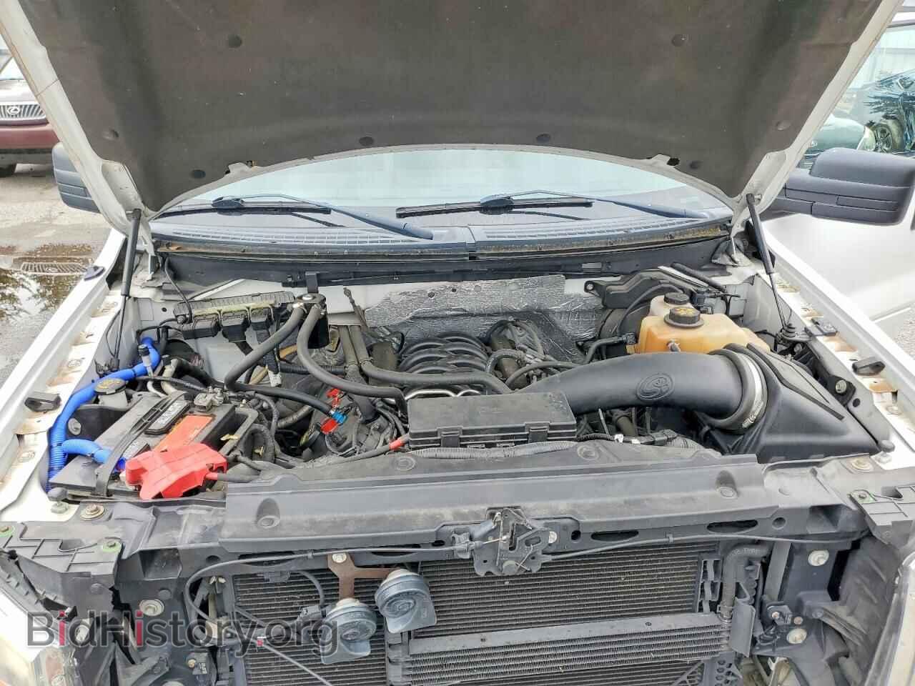 2013 FORD F150 - VIN: 1FTFX1EF7DFB26075 - Фото 11