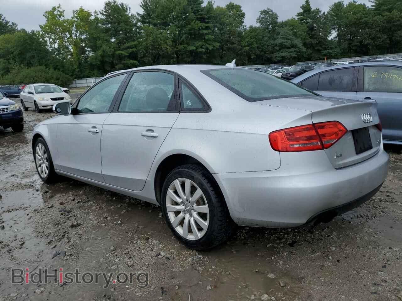 2010 AUDI A4 - VIN: WAUBFAFL9AN038391 - Фото 2
