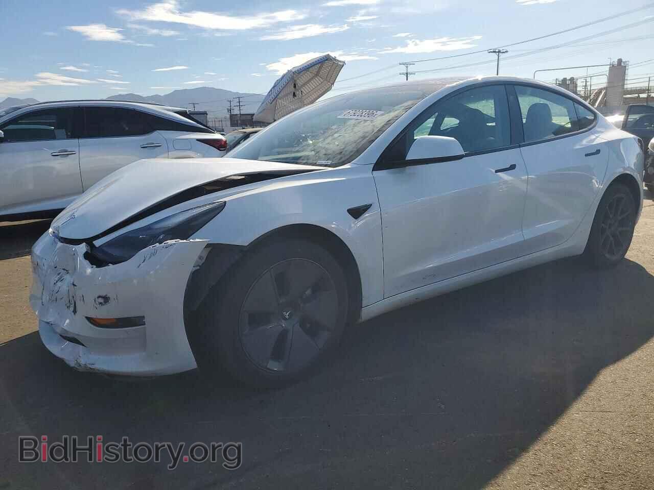 Photo 5YJ3E1EA3PF482559 - TESLA MODEL 3 2023