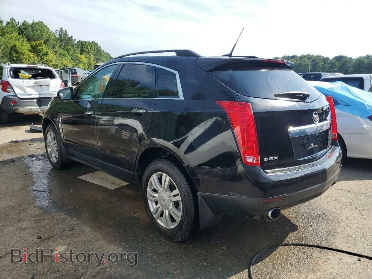 2011 CADILLAC SRX - VIN: 3GYFNGEY8BS678066 - Photo 2