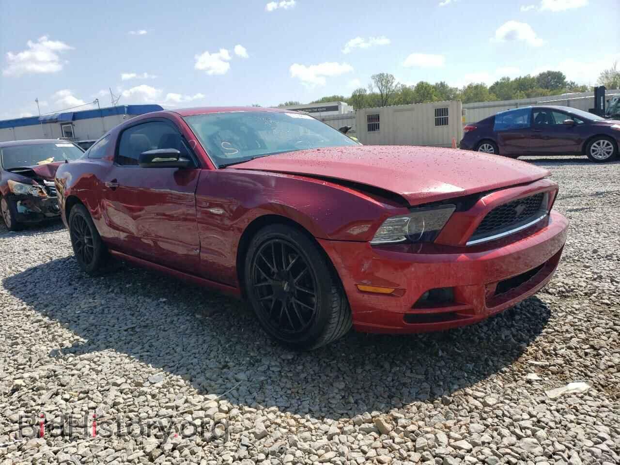 2014 FORD ALL Models - VIN: 1ZVBP8AM7E5209375 - Фото 4