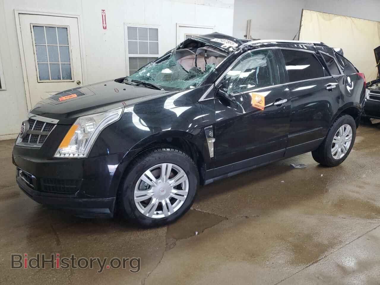 Photo 3GYFNAEY4AS517063 - CADILLAC SRX 2010