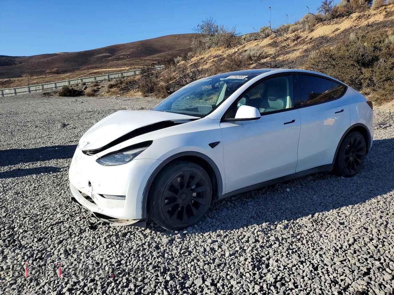 Photo 7SAYGAEE3PF745641 - TESLA MODEL Y 2023