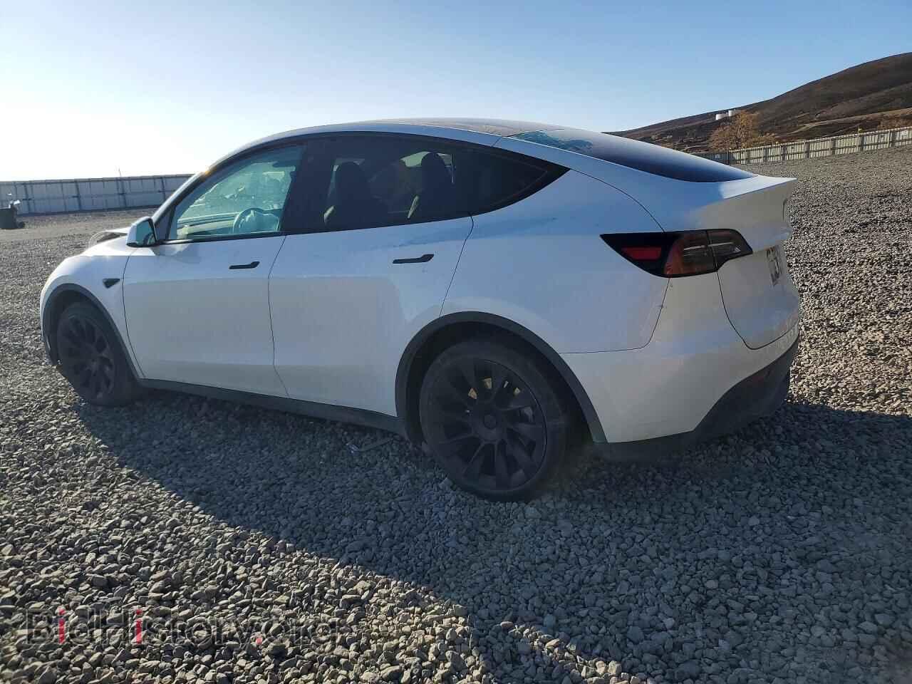 2023 TESLA MODEL Y - VIN: 7SAYGAEE3PF745641 - Photo 2