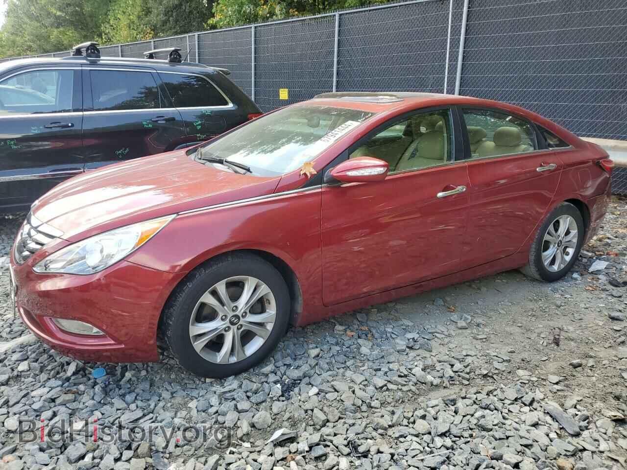 Photo 5NPEC4AC8DH628586 - HYUNDAI SONATA 2013