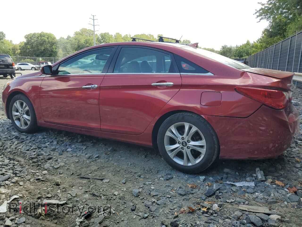 2013 HYUNDAI SONATA - VIN: 5NPEC4AC8DH628586 - Фото 2