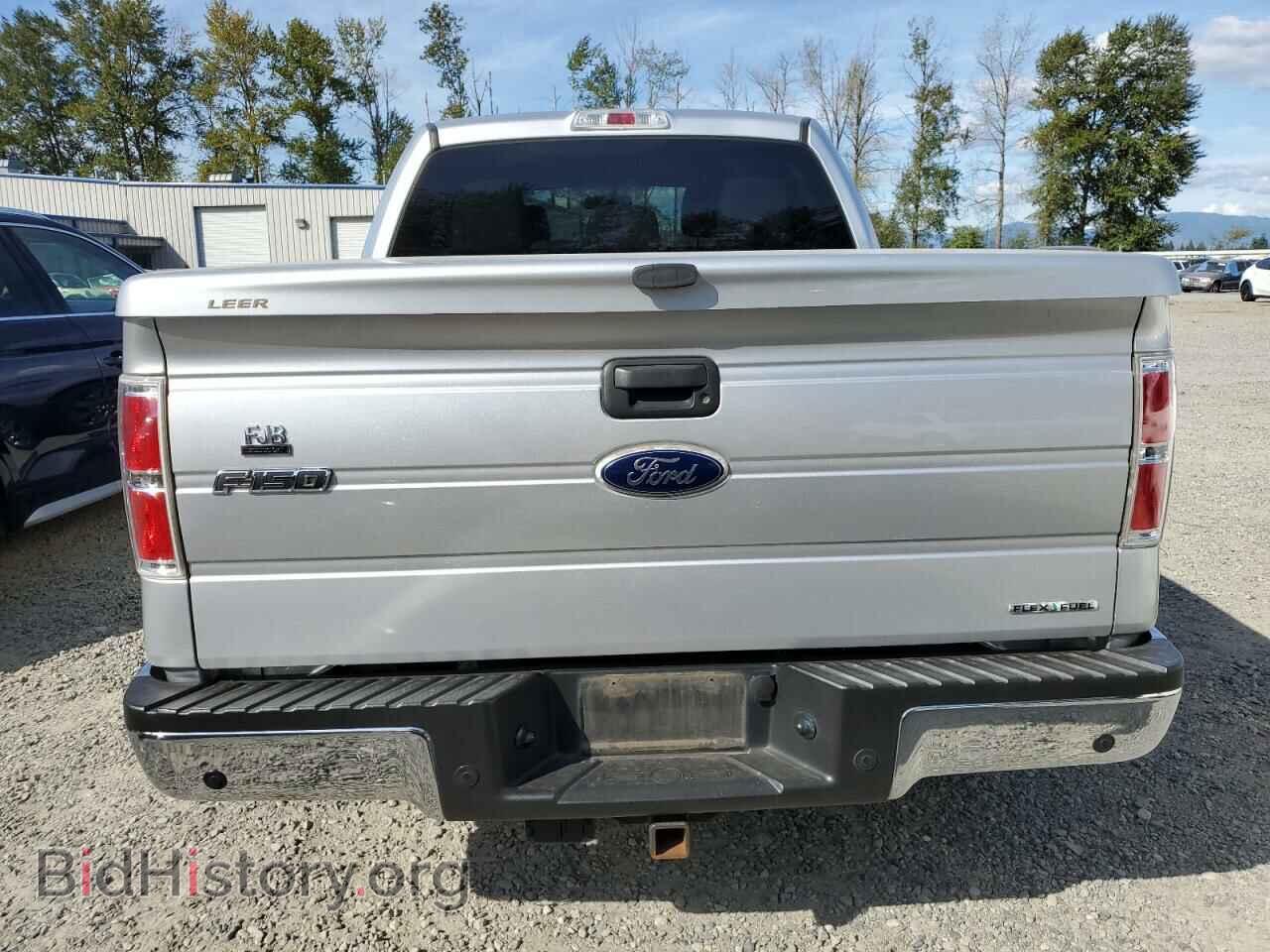 2012 FORD F-150 - VIN: 1FTFW1EF1CFA75366 - Фото 6