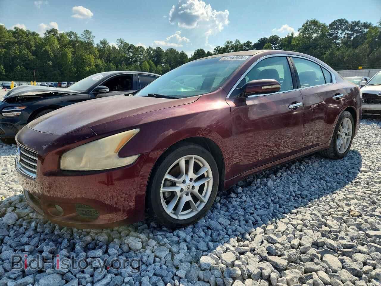Photo 1N4AA5AP0AC819610 - NISSAN MAXIMA 2010