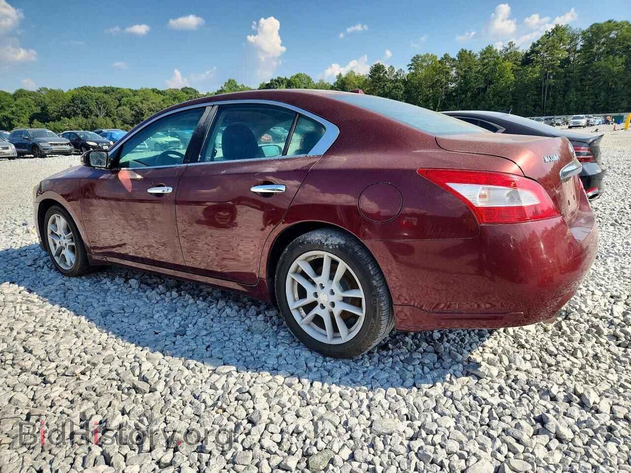 2010 NISSAN MAXIMA - VIN: 1N4AA5AP0AC819610 - Фото 2